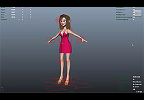 Basic human rig