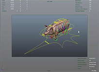 Quadruped rig
