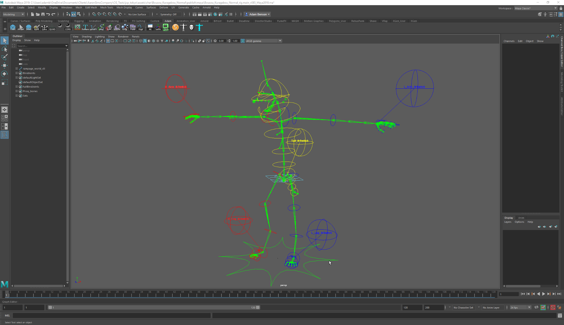 Motion Capture Animatable character rig.